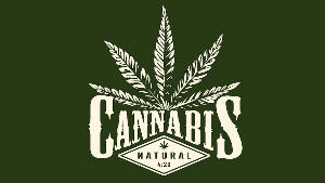 Cannabis